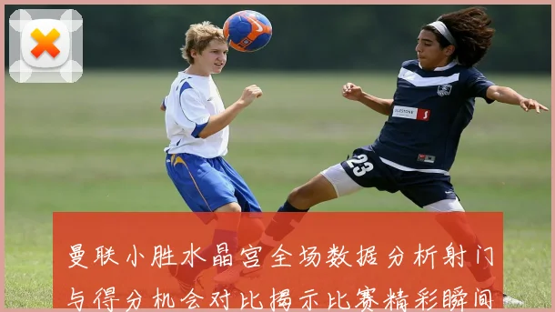 曼联小胜水晶宫全场数据分析射门与得分机会对比揭示比赛精彩瞬间