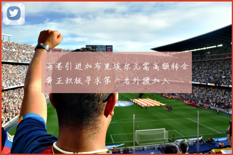 海港引进加布里埃尔无需高额转会费正积极寻求第六名外援加入