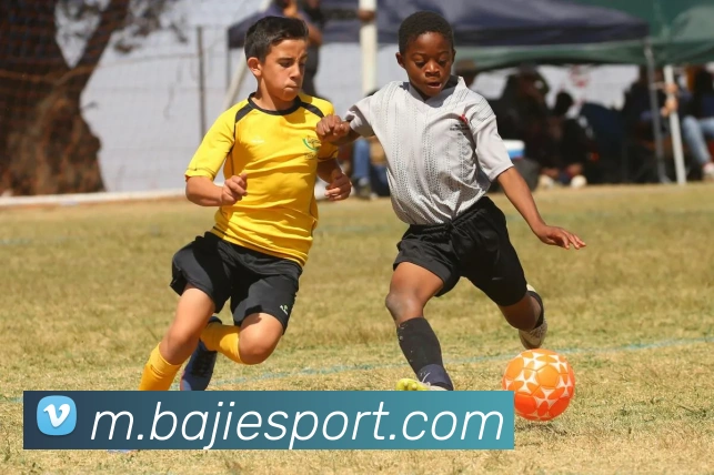 八戒体育平台生态图