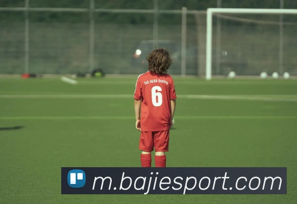 八戒体育APP 封面图